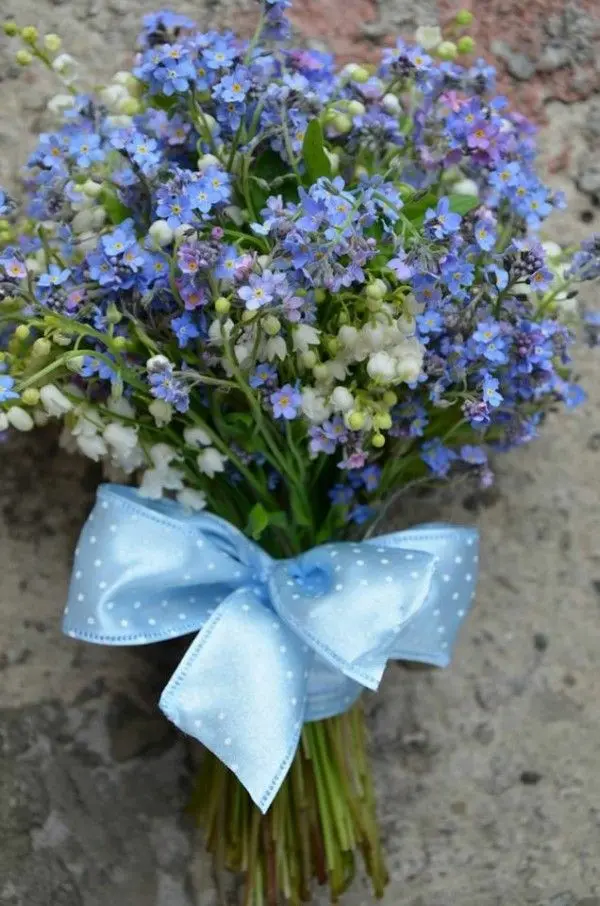 Condolence image of Martina mit Seelenhund Samy ♥️⭐♥️ für immer im Herzen 