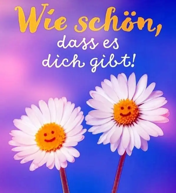 Condolence image of Martina mit Seelenhund Samy ♥️⭐♥️ für immer im Herzen 