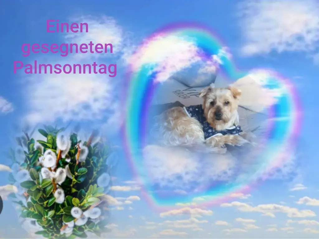 Condolence image of Ewa & Krzysztof 