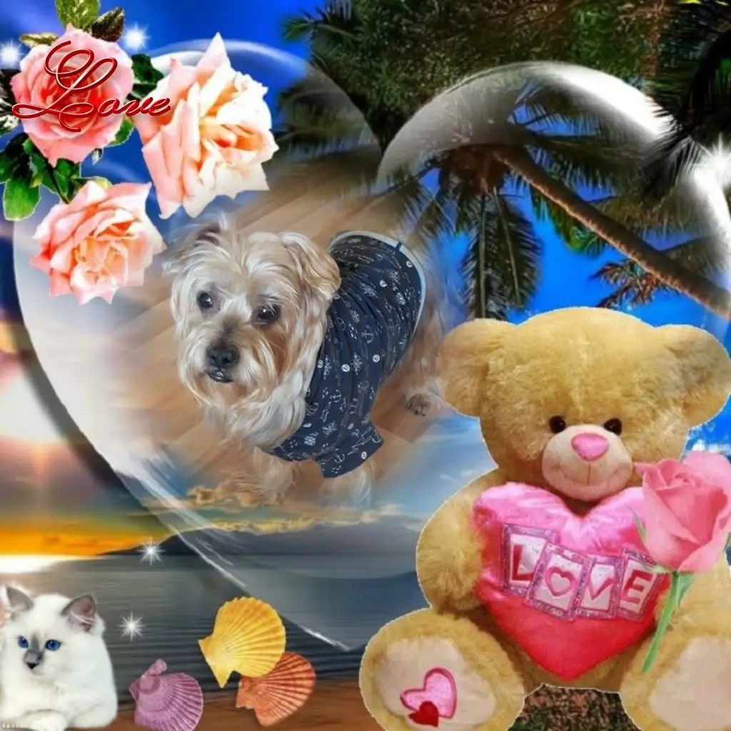 Condolence image of 22 Tygodnie.......Bez Ciebie❤️⭐️Misieńku❤️⭐️