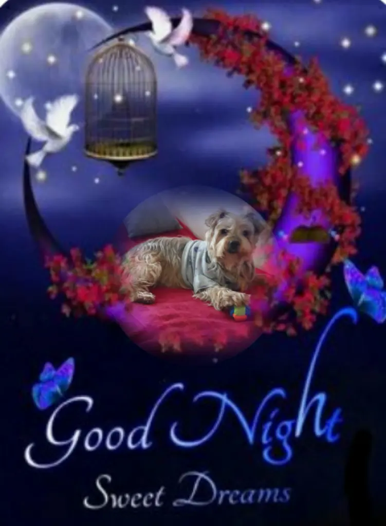 Condolence image of ⭐❤Gute Nacht Jackuś❤⭐