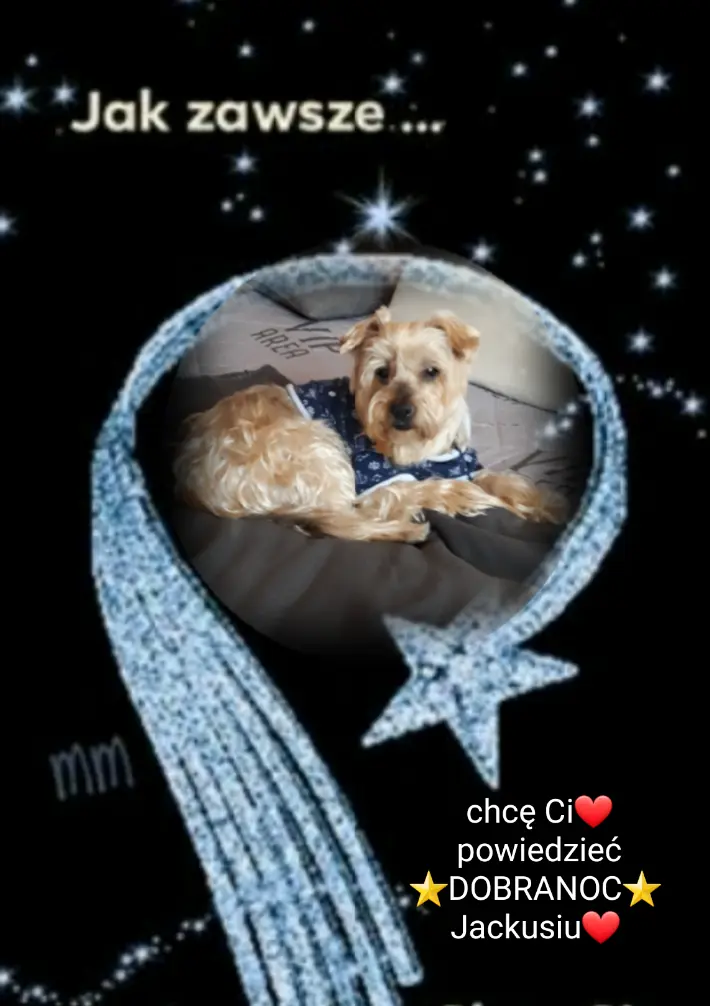 Condolence image of ⭐❤Gute Nacht Jackuś❤⭐