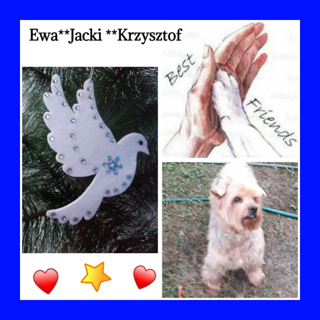 Condolence image of Martina mit Samy ♥️⭐♥️für immer im Herzen