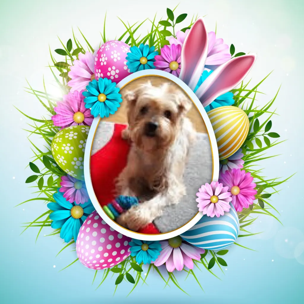 Condolence image of Pięknego❤️❤️❤️Wielkiego❤️Piątku❤️Kochany❤️❤️❤️❤️❤️❤️Jackusiu❤️⭐️