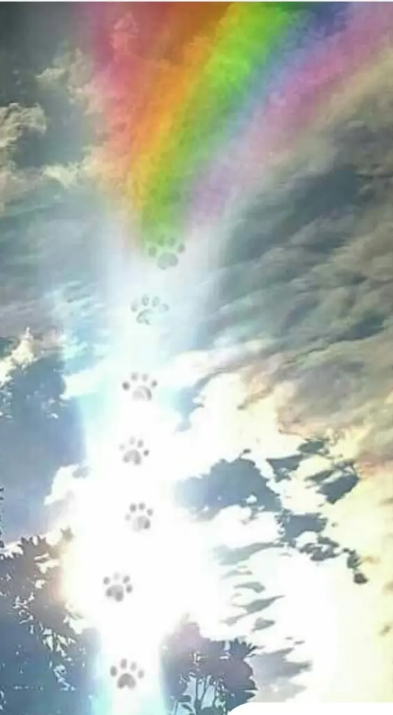 Condolence image of Krzystof 