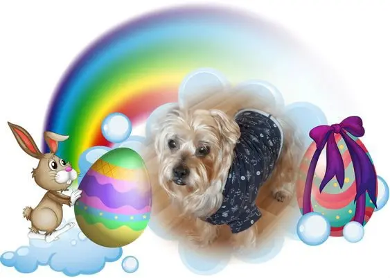 Condolence image of 23. Tygodnie.....Bez Ciebie❤️⭐️Jackusiu❤️⭐️