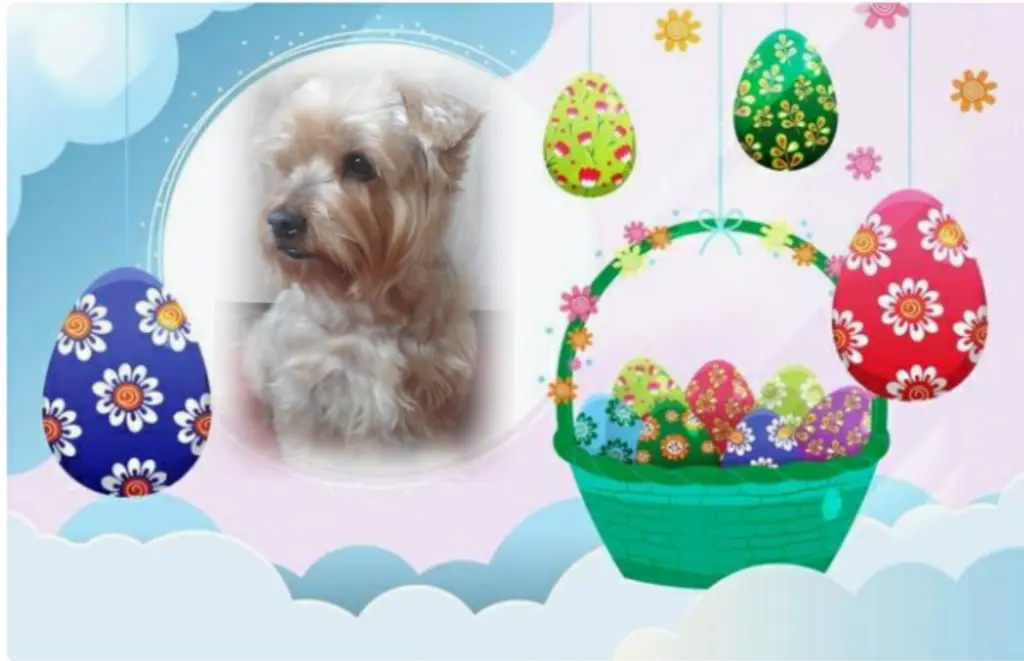 Condolence image of Ewa & Krzysztof 