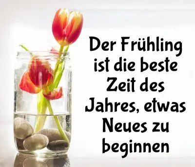 Condolence image of Elke und Horst mit Fiby ❤️