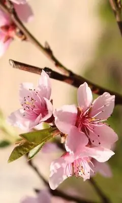 Condolence image of ❤️