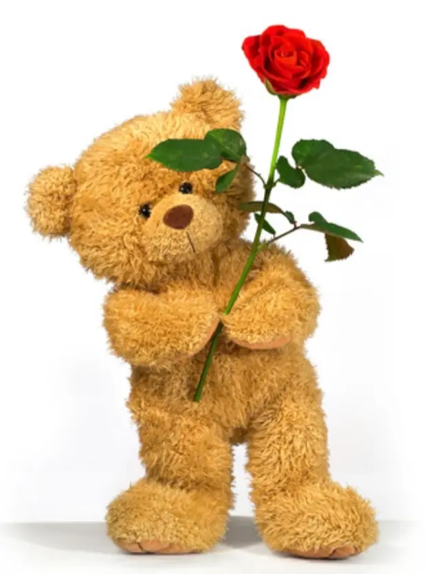 Condolence image of Ewa 