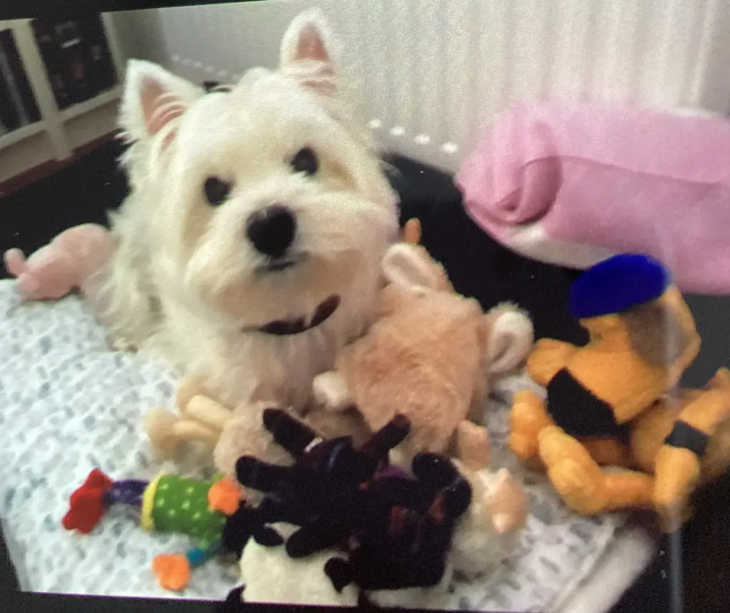 Condolence image of Unbekannt