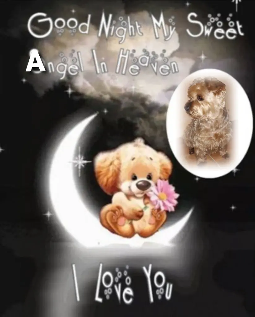 Condolence image of ⭐❤Gute Nacht Jackuś❤⭐