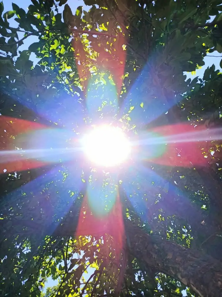 Condolence image of Martina mit Seelenhund Samy ♥️⭐♥️