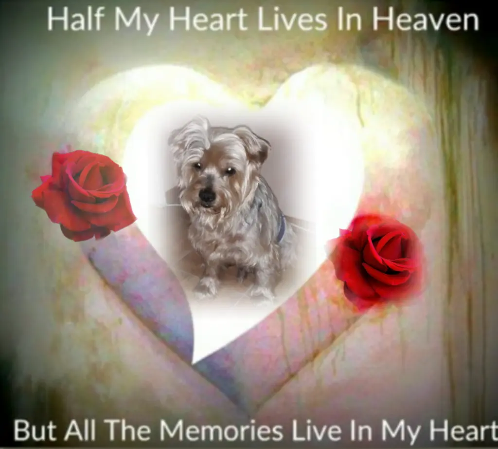 Condolence image of Ewa & Krzysztof 