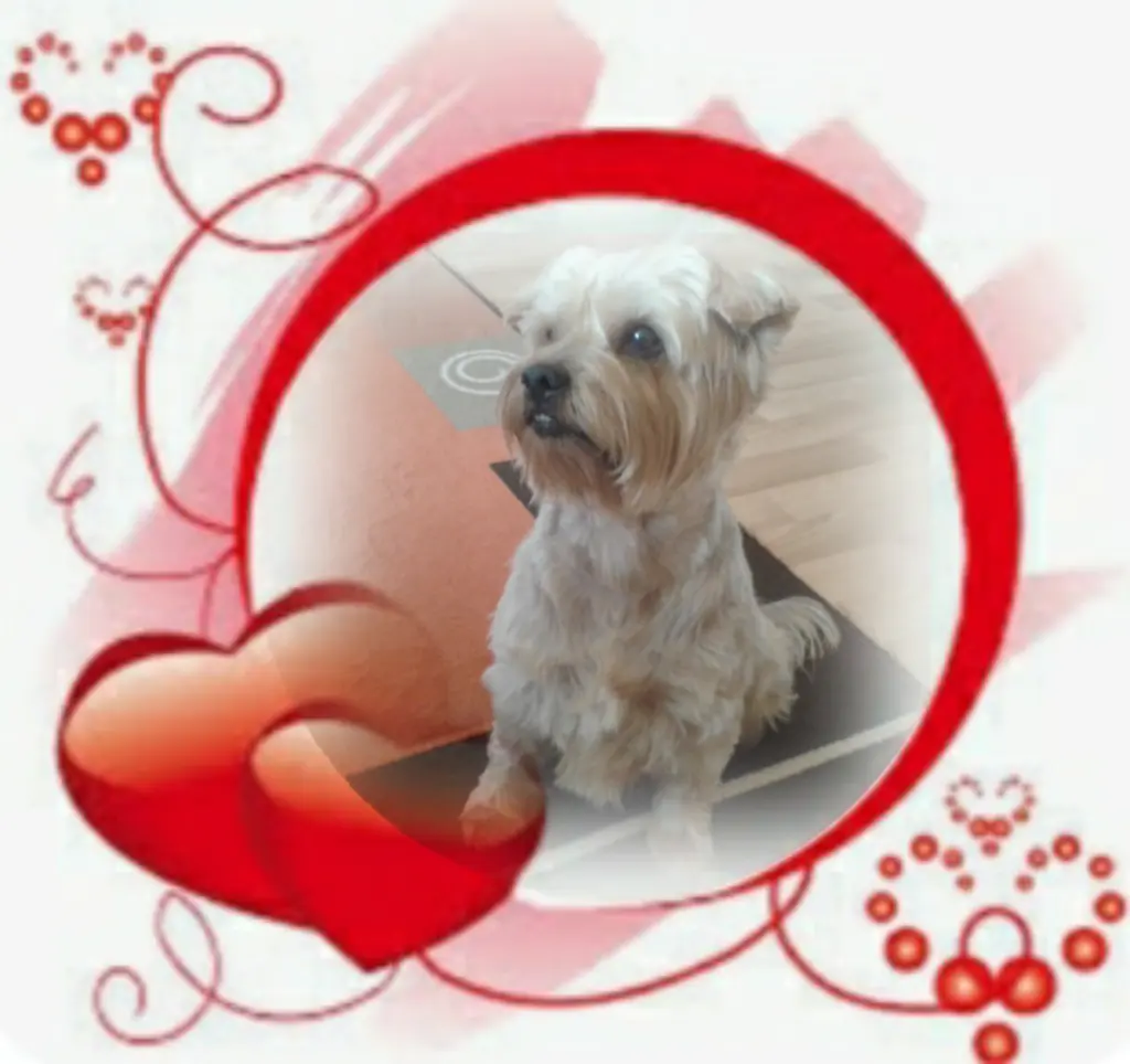 Condolence image of Ewa & Krzysztof