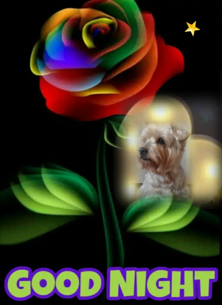 Condolence image of ⭐❤ Gute Nacht Jackusiu❤⭐