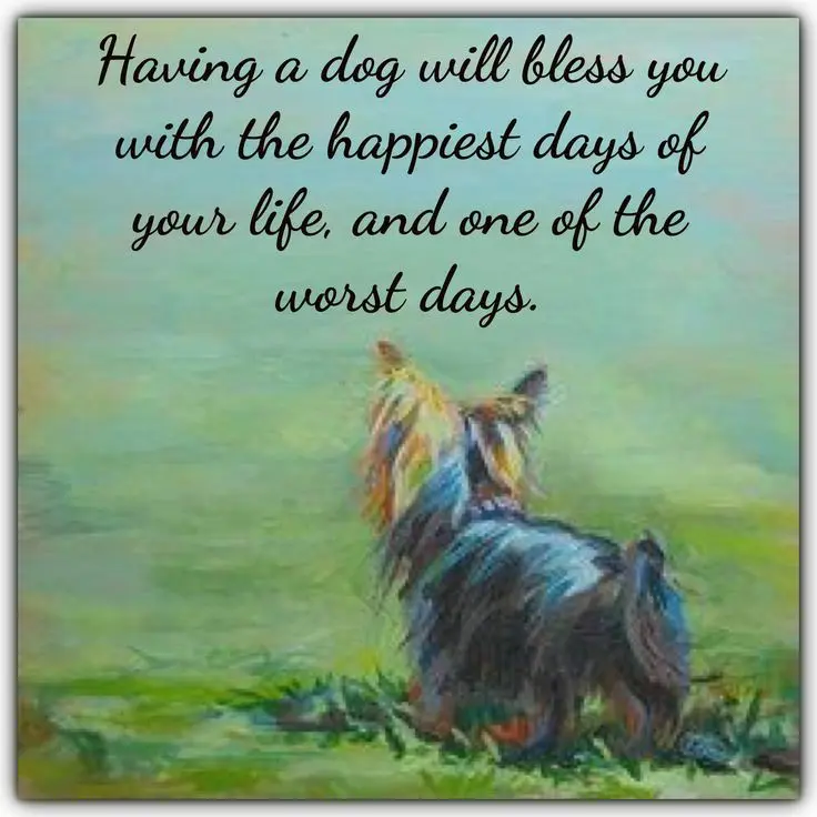 Condolence image of Herzliche Abendgrüße ⭐