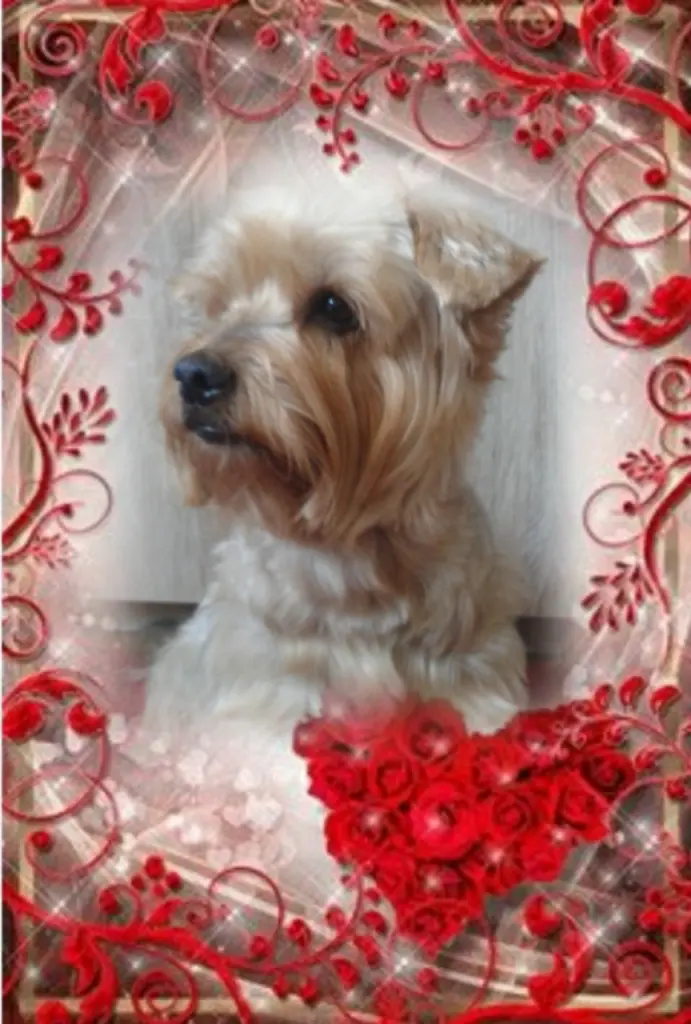 Condolence image of Ewa & Krzysztof