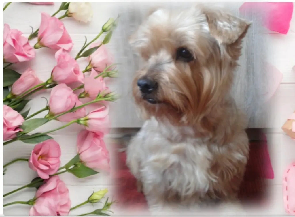 Condolence image of Ewa & Krzysztof 