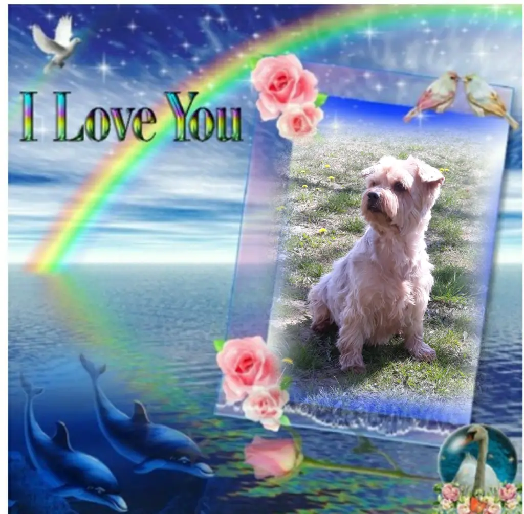 Condolence image of Ewa & Krzysztof 