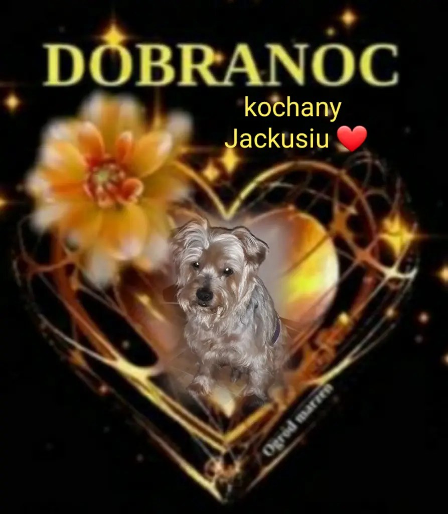 Condolence image of ⭐❤Gute Nacht Jackuś❤⭐