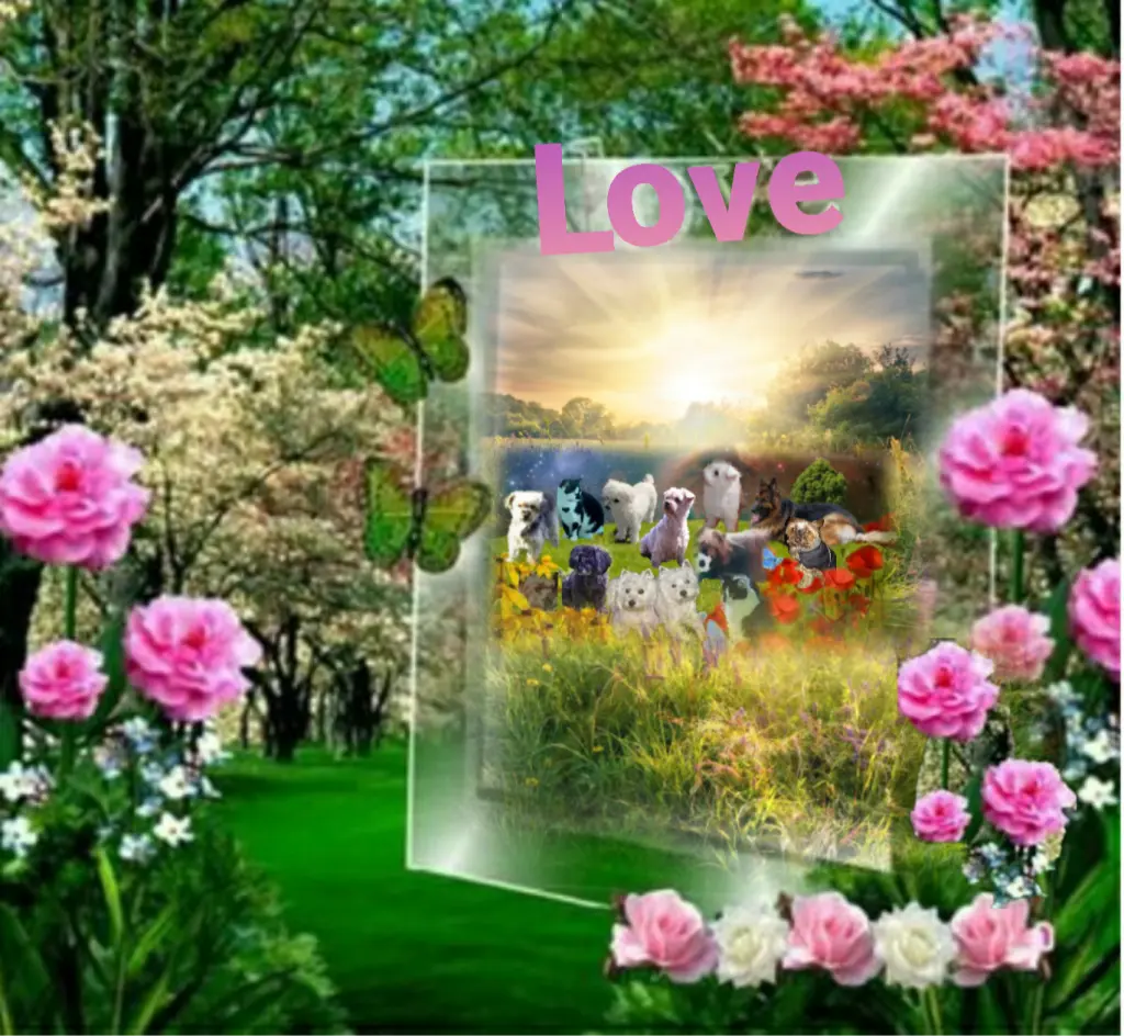 Condolence image of Ewa & Krzysztof 