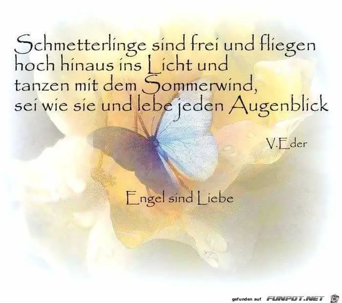 Condolence image of Fiby für Jacki ❤️