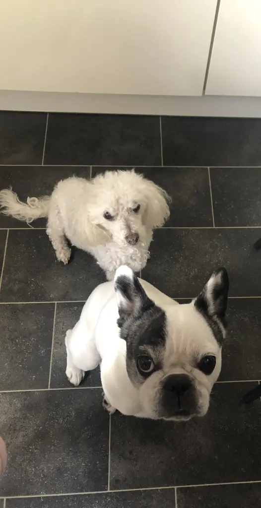 Condolence image of Christel und emmi 