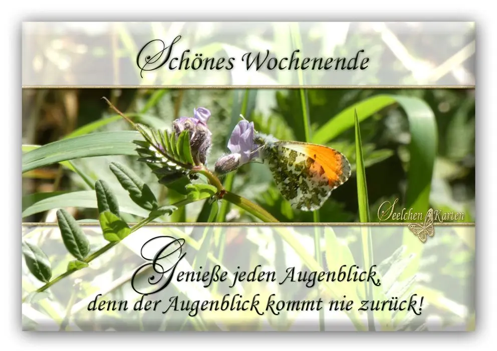 Condolence image of Elke und Horst mit Fiby ❤️