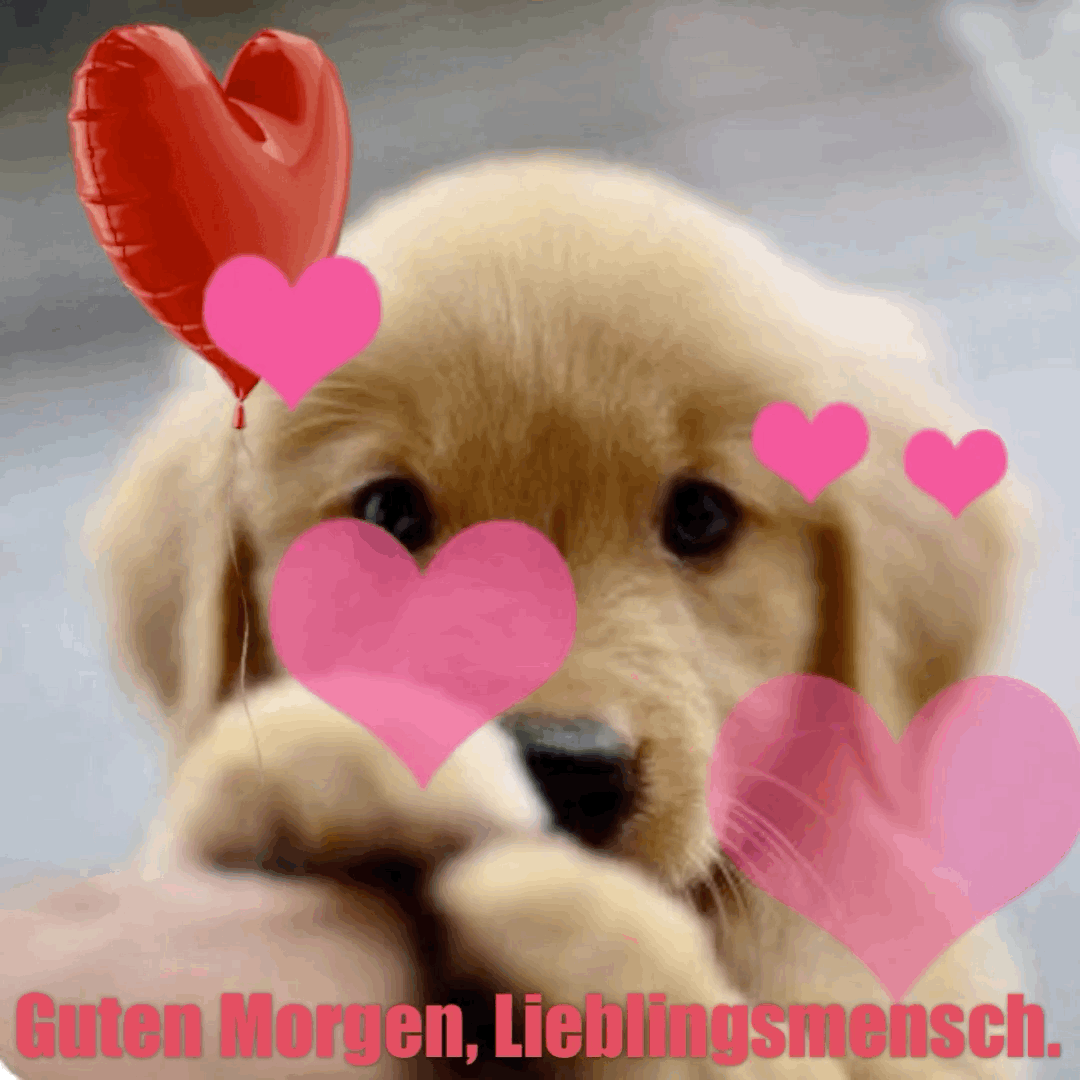 Condolence image of ❤️❤️❤️❤️❤️❤️❤️❤️❤️❤️❤️❤️