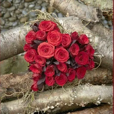 Condolence image of Martina mit Seelenhund Samy ♥️⭐♥️ für immer im Herzen 