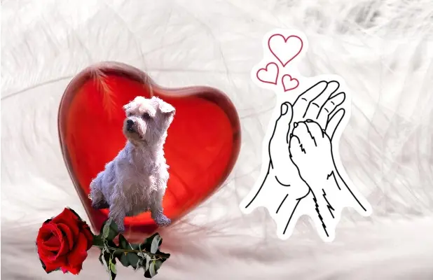 Condolence image of KRZYSZTOF