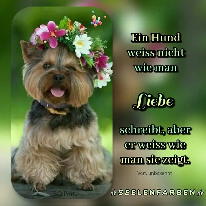 Condolence image of Gute Nacht kleiner Engel ♥️⭐♥️
