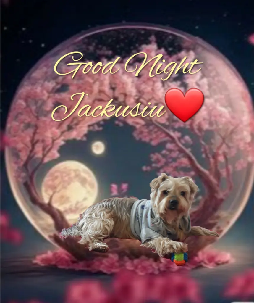 Condolence image of ⭐❤Gute Nacht Jackusiu❤⭐