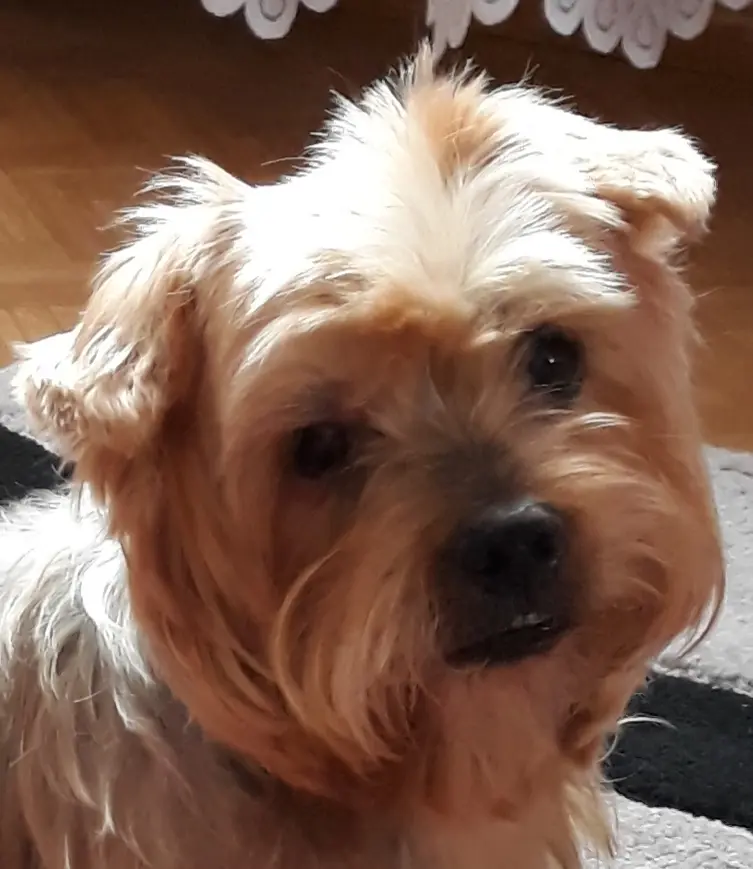 Condolence image of Ewa & Krzysztof 