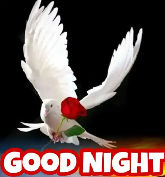 Condolence image of ⭐❤Gute Nacht Jackuś❤⭐