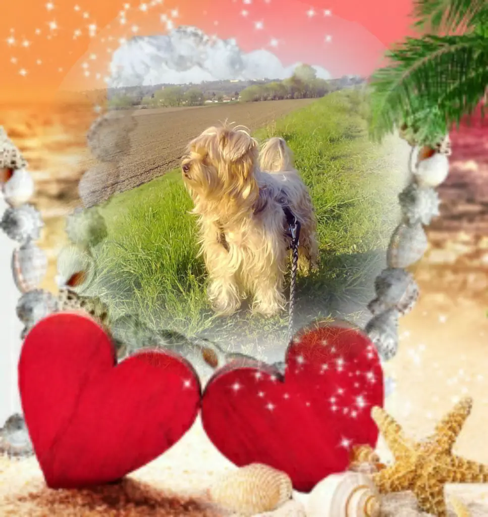 Condolence image of Ewa & Krzysztof 