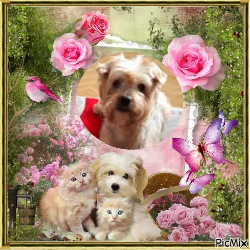 Condolence image of Guten Abend❤️❤️❤️Liebe❤️❤️❤️Jackusiu❤️⭐️