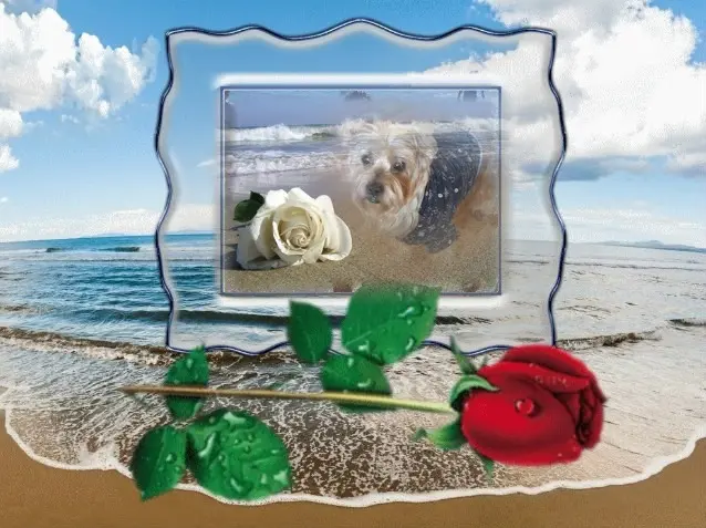 Condolence image of Dobry Wieczór❤️❤️❤️