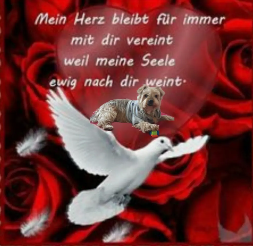 Condolence image of Ewa & Krzysztof 