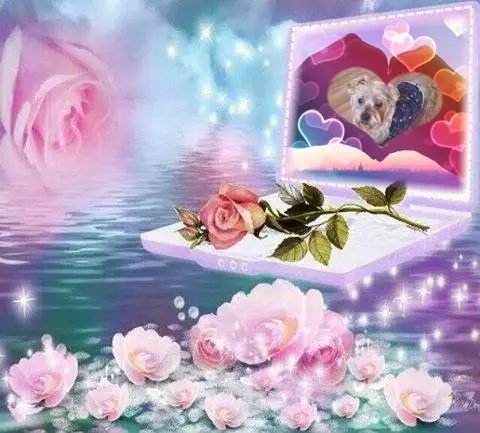 Condolence image of Samstag❤️Rosen❤️❤️❤️❤️❤️❤️❤️