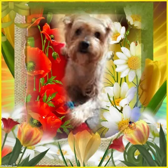 Condolence image of ❤️❤️❤️❤️❤️❤️❤️❤️❤️❤️❤️❤️