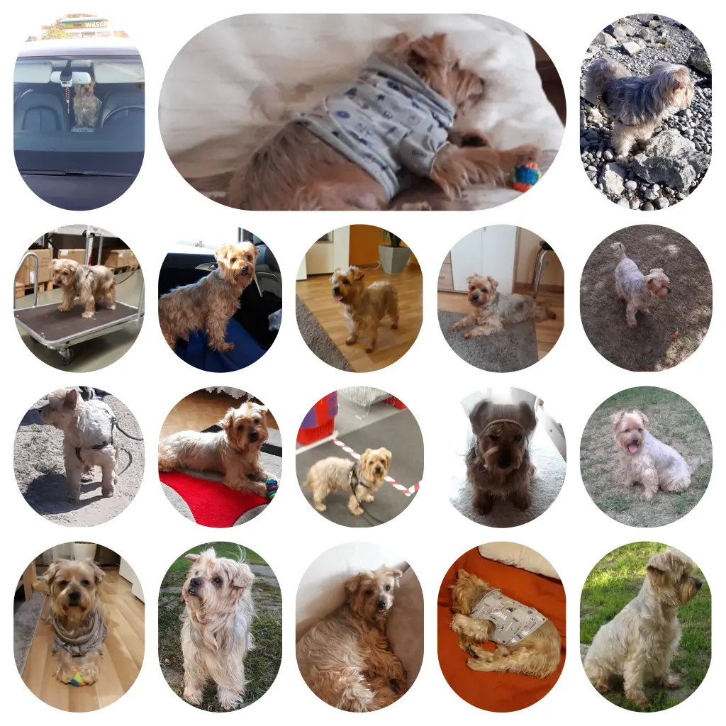 Condolence image of ❤Erinnerungen...❤