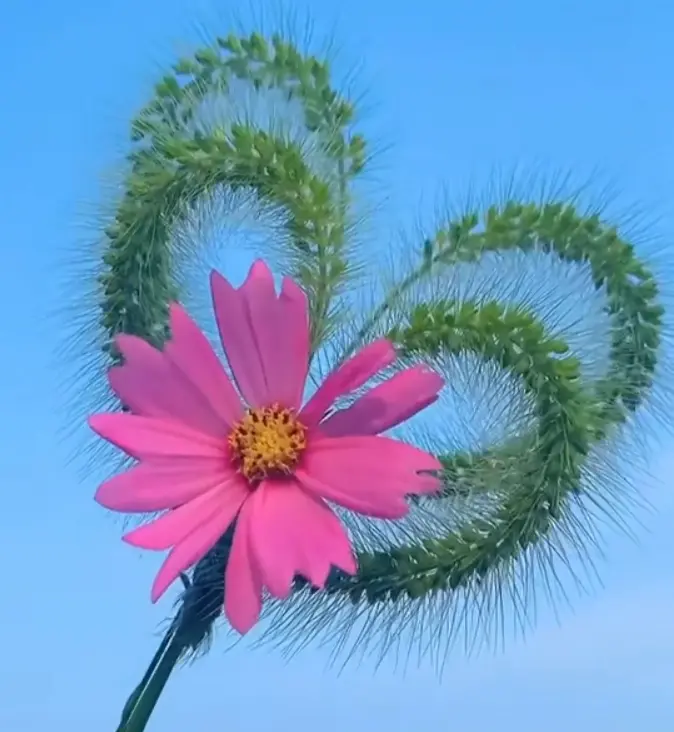 Condolence image of Von Samy ♥️⭐♥️