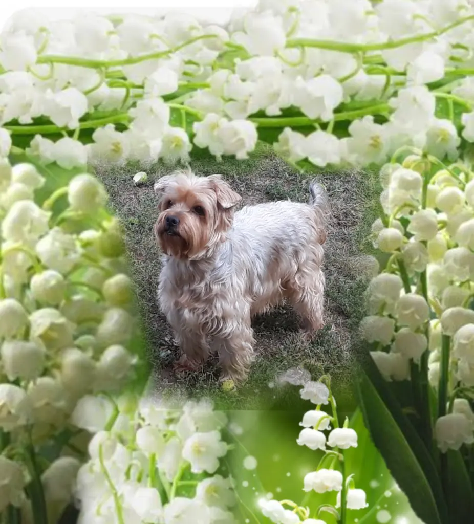 Condolence image of Ewa & Krzysztof