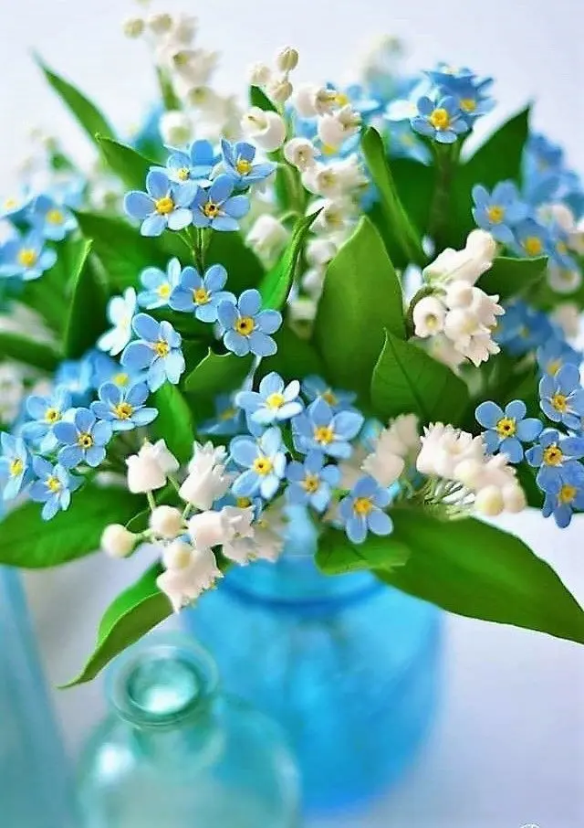 Condolence image of Martina mit Seelenhund Samy ♥️⭐♥️ für immer im Herzen