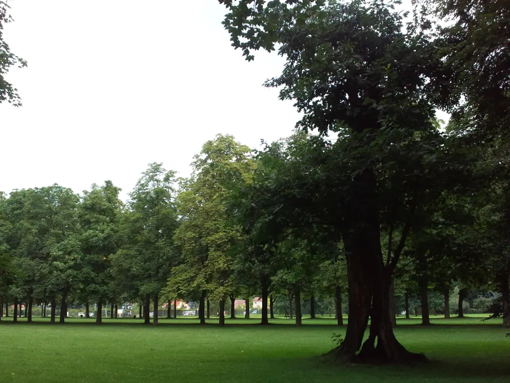 Condolence image of Manuela mit Seelenhund Flick