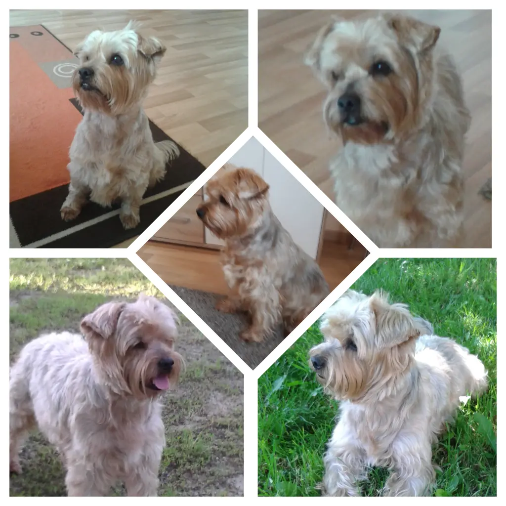 Condolence image of Ewa & Krzysztof 