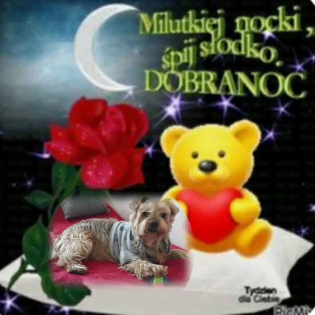 Condolence image of ⭐❤Gute Nacht Jackuś❤⭐