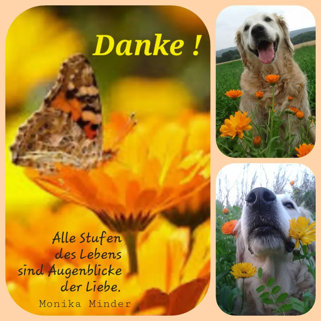 Condolence image of Unbekannt